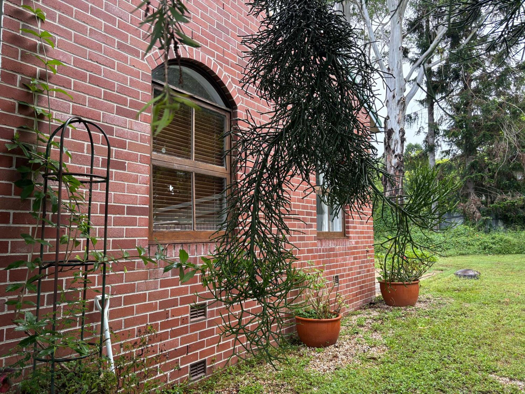 Celestial Dew Guesthouse In Tyalgum エクステリア 写真