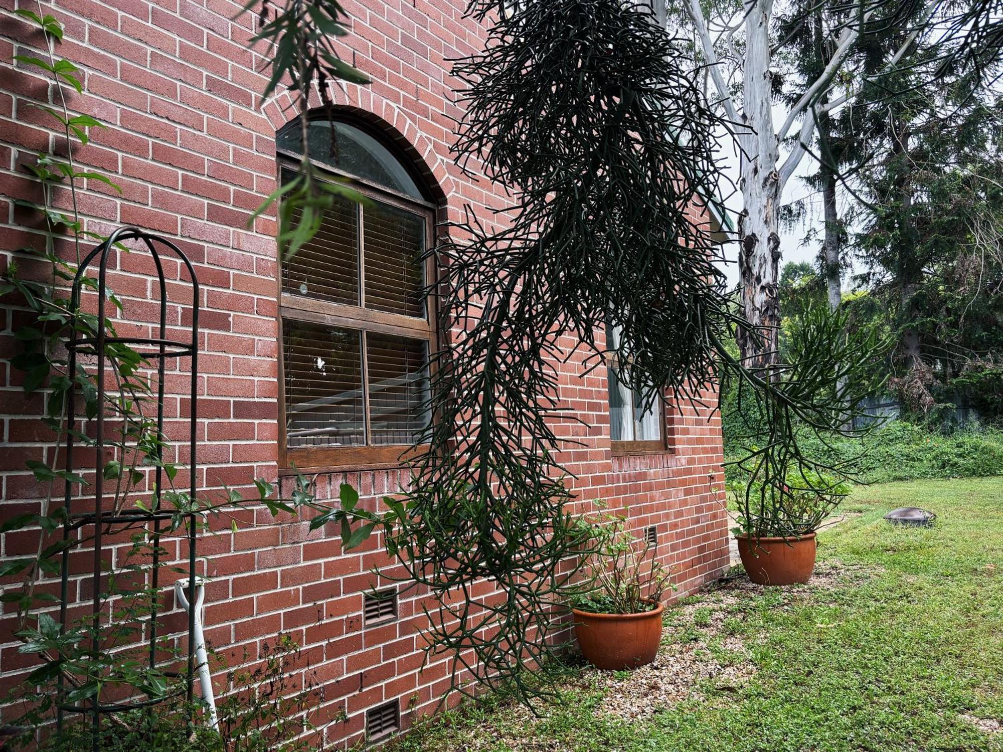 Celestial Dew Guesthouse In Tyalgum エクステリア 写真