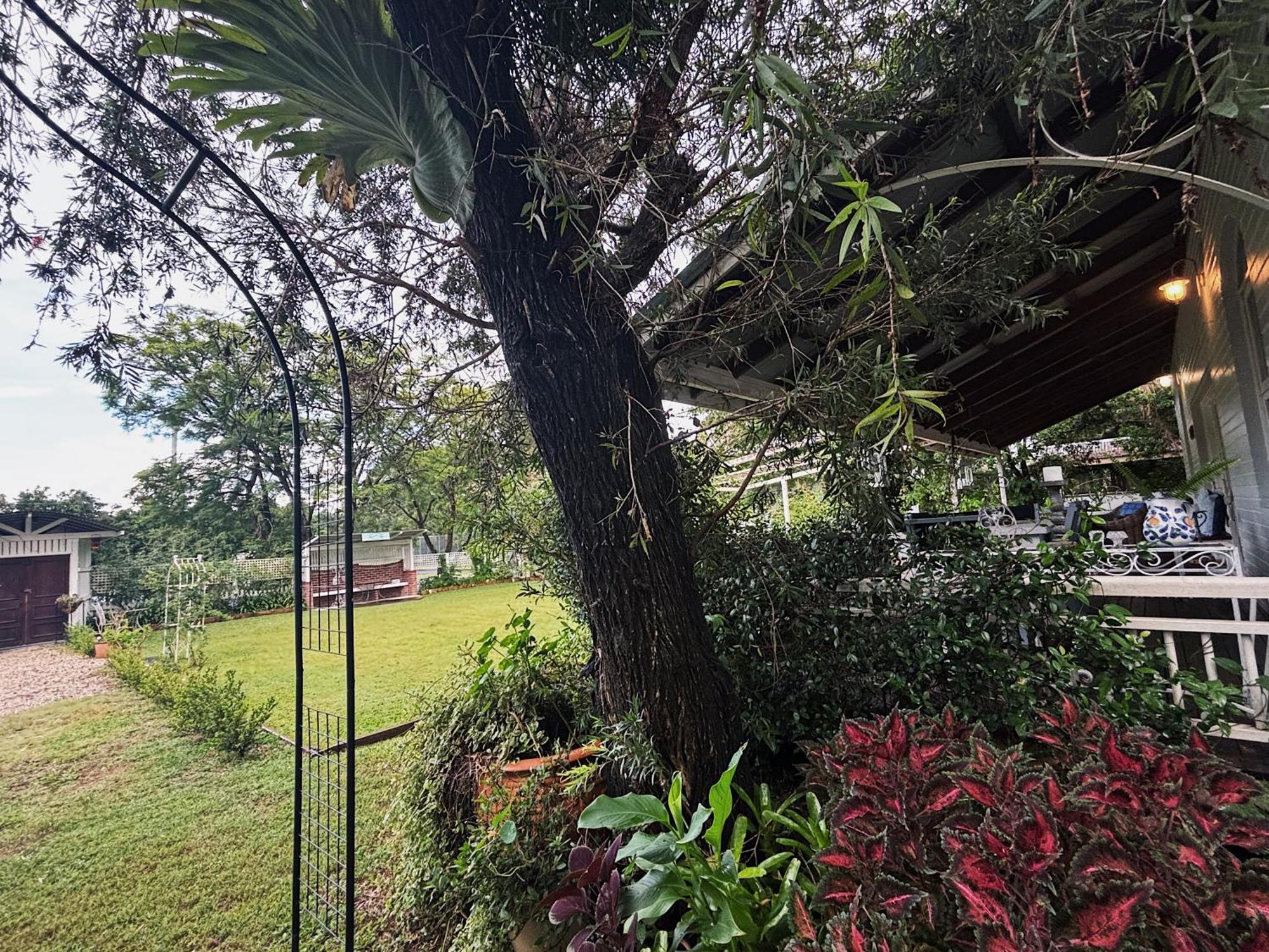 Celestial Dew Guesthouse In Tyalgum エクステリア 写真