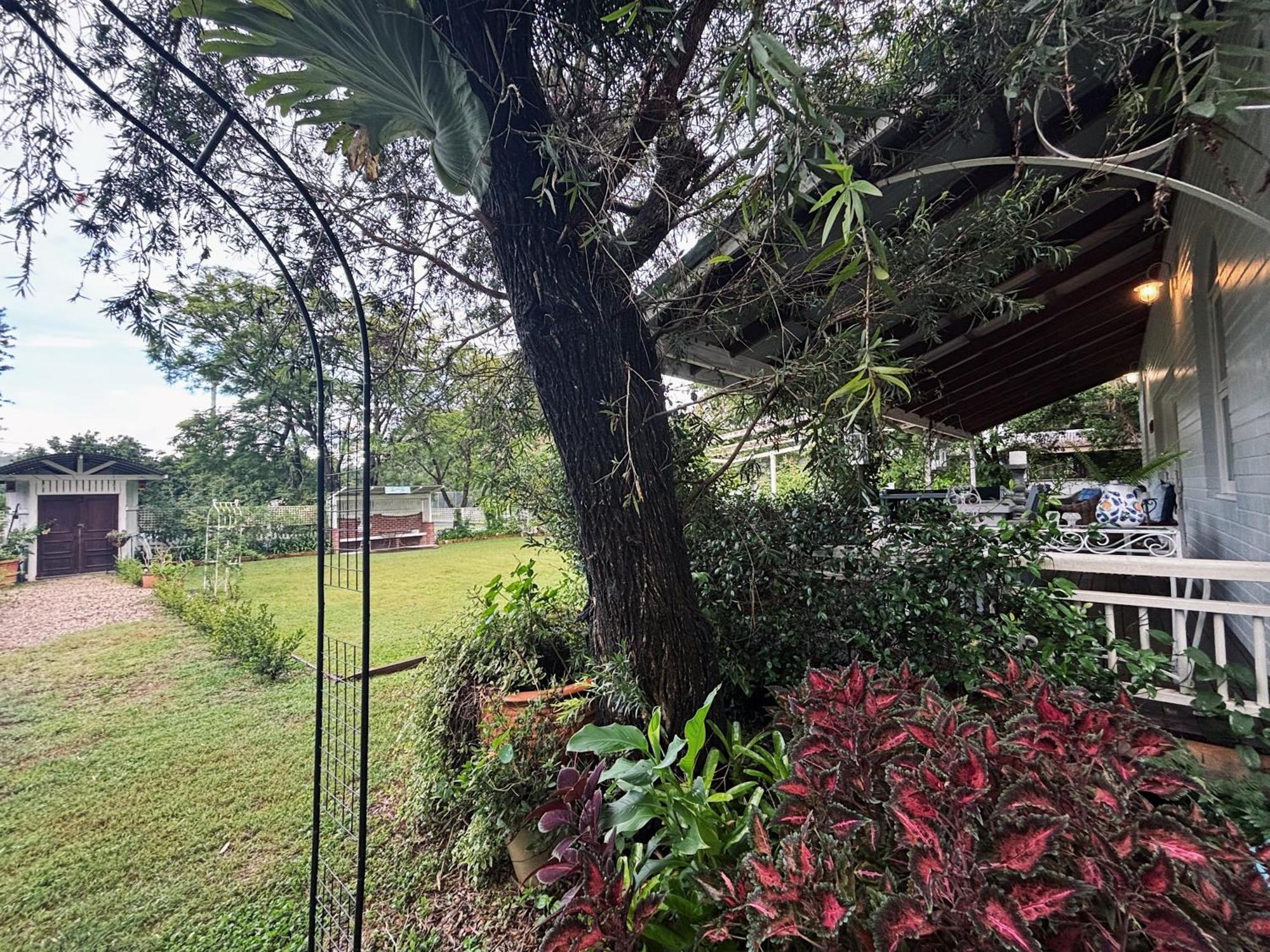 Celestial Dew Guesthouse In Tyalgum エクステリア 写真